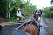 caravan of pony carriages