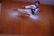 flying karate kicker