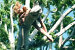 girl hanging over tree limb